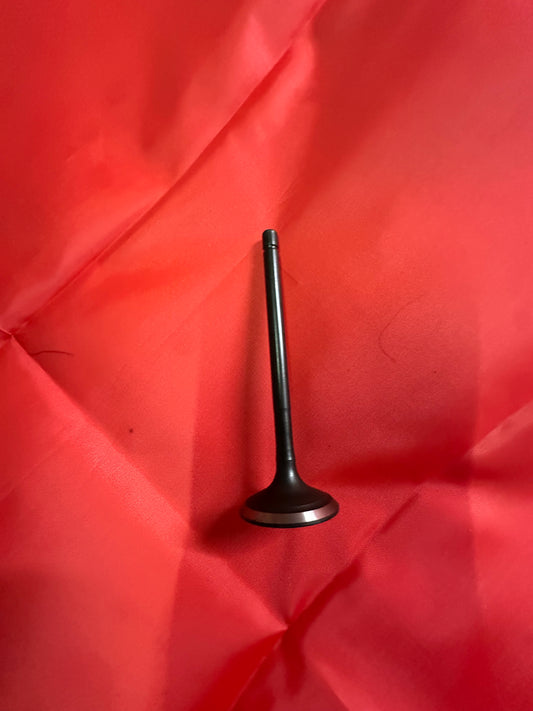 Exhaust Valve