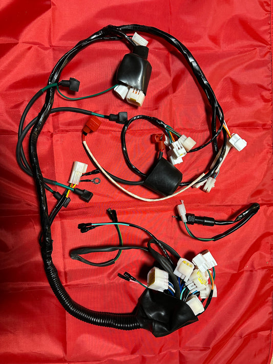 Wiring Loom ( Main Cable)